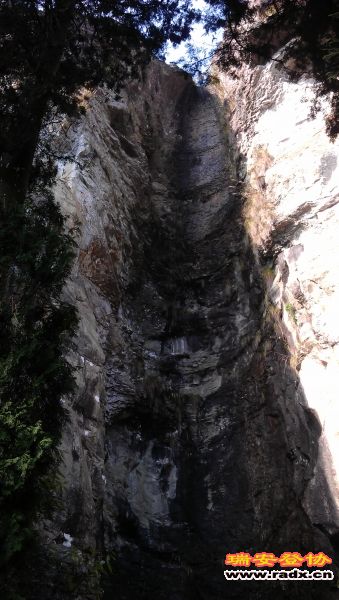 IMAG1247.jpg