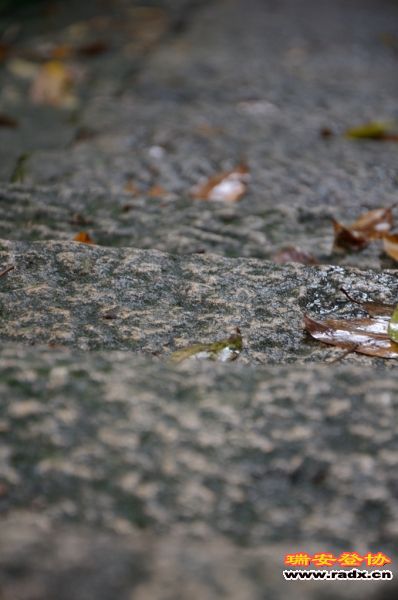 DSC_2564.jpg