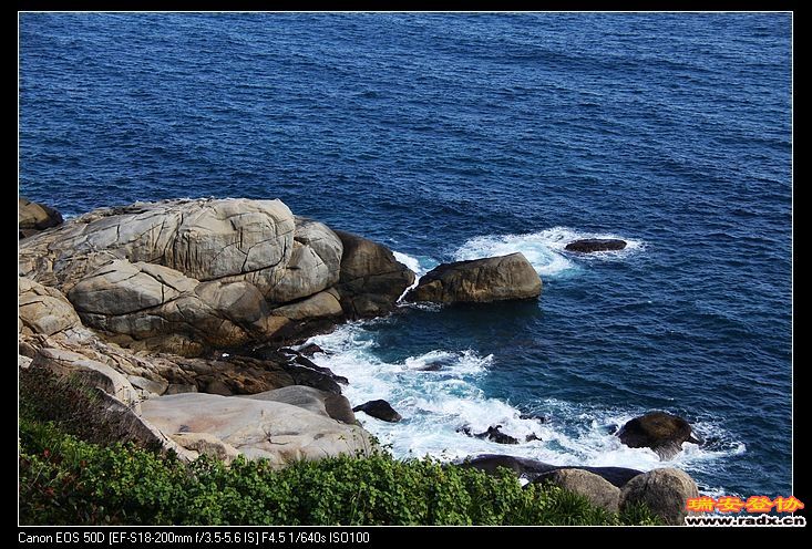 海龟探海