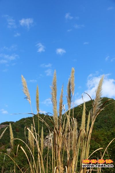IMG_4134.JPG