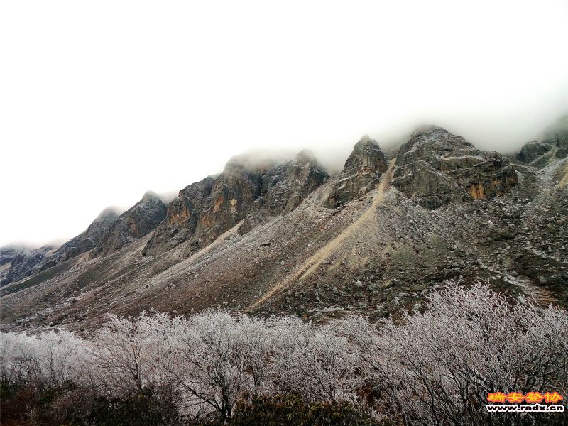 DSC01264_副本.jpg