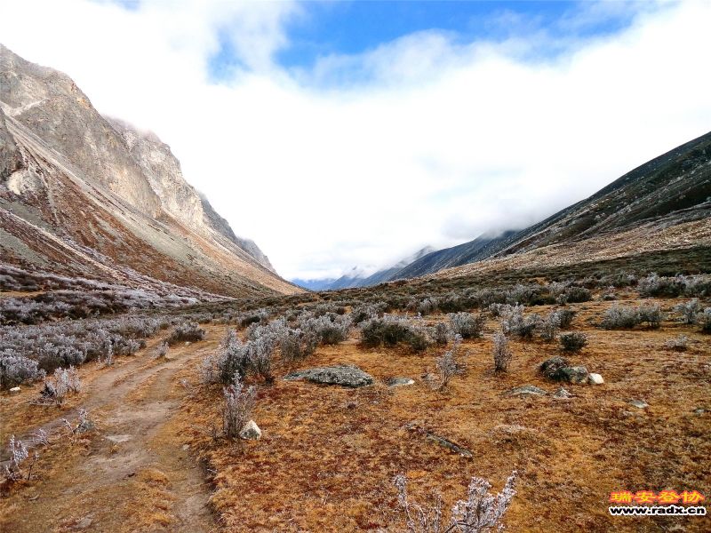 DSC01270_副本.jpg