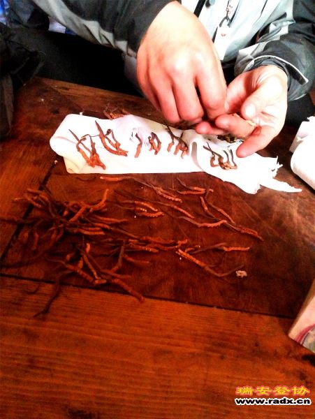 20141209_113143.jpg