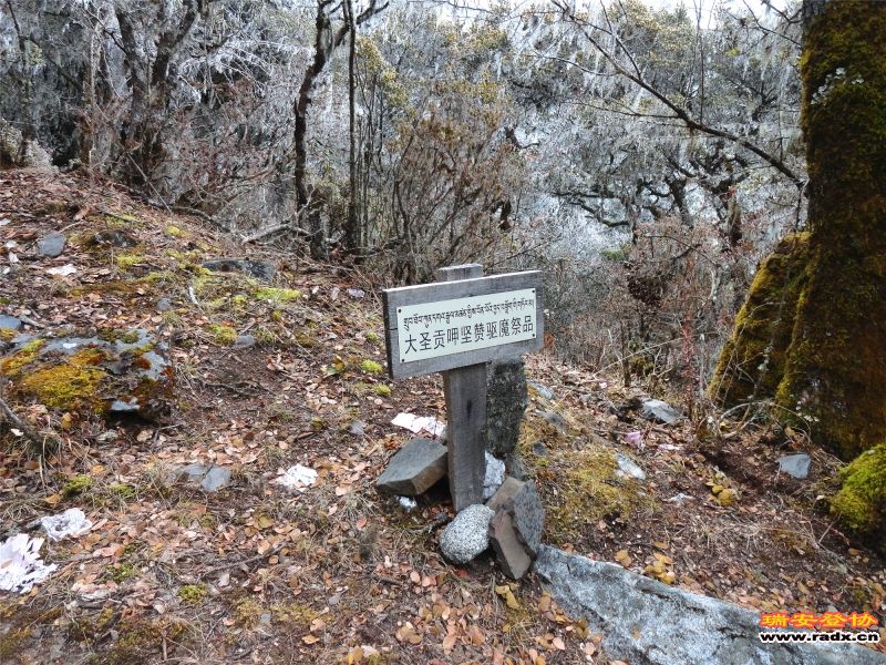 DSC01374.jpg