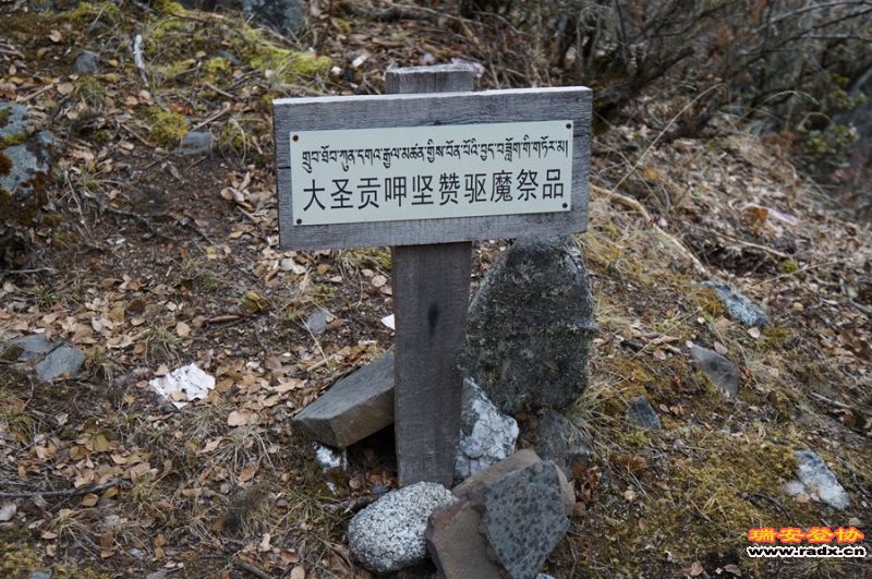 DSC08082.jpg