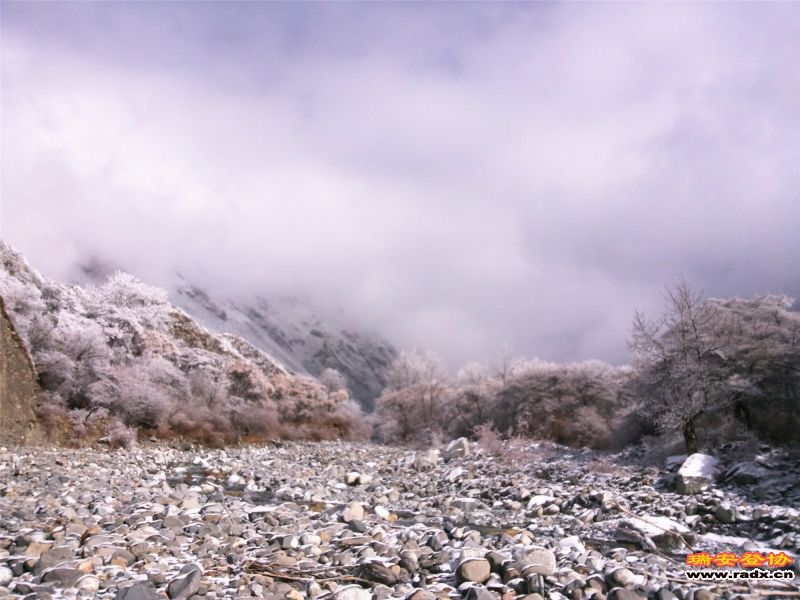 20141211_114815.jpg