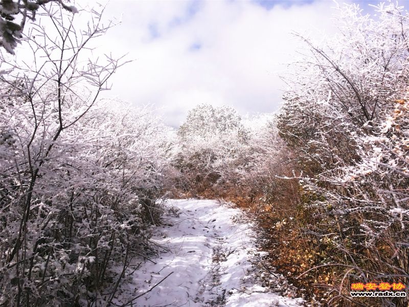 20141211_124035.jpg