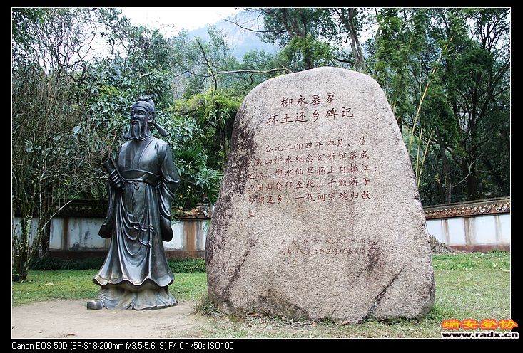 词宗柳永