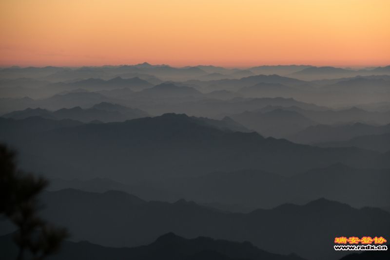 _MG_5774.JPG