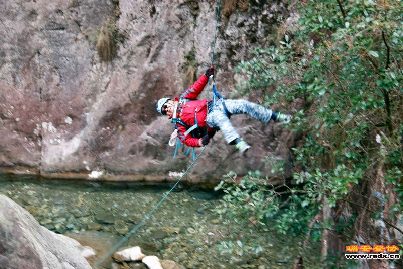_MG_7991.JPG
