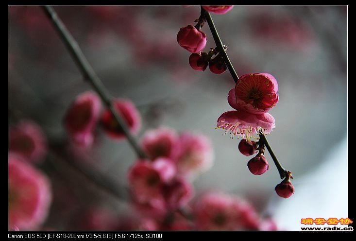 nEO_IMG_IMG_5969.jpg