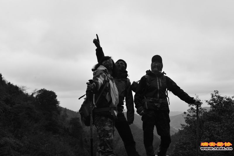 DSC_2016.jpg