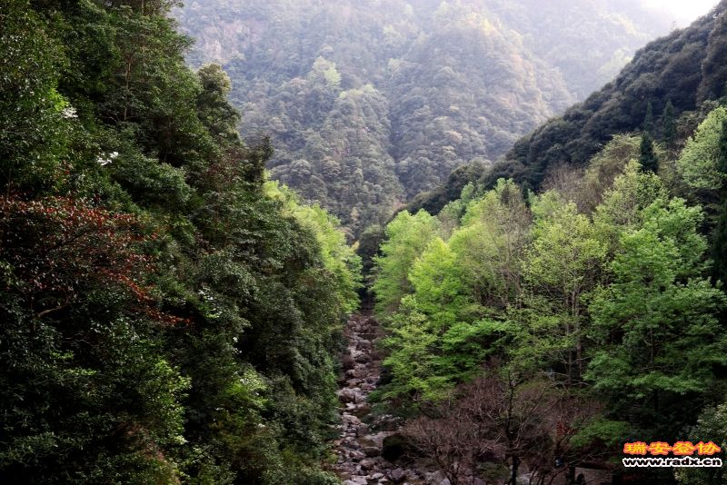_MG_0100.JPG