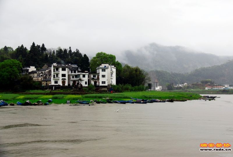 _MG_0740.JPG