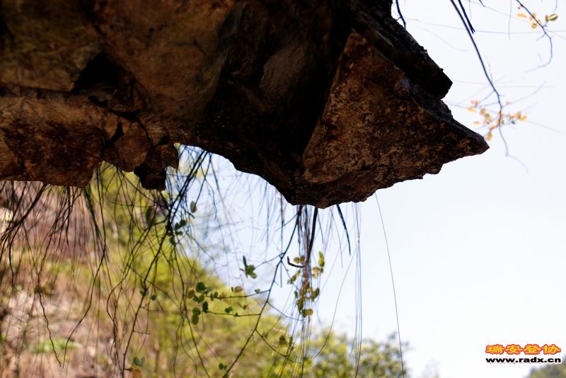 _MG_1401.JPG