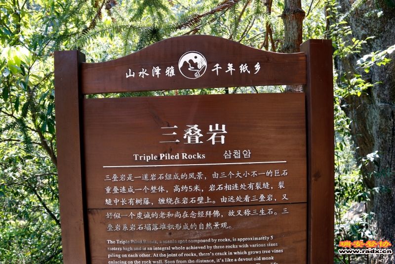_MG_1402.JPG
