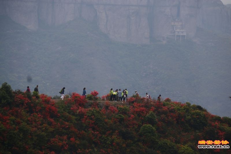 _MG_2348.JPG