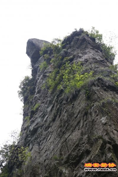 _MG_2450.JPG