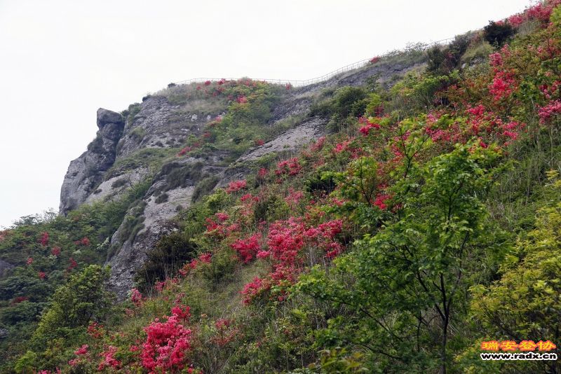 _MG_1711.JPG