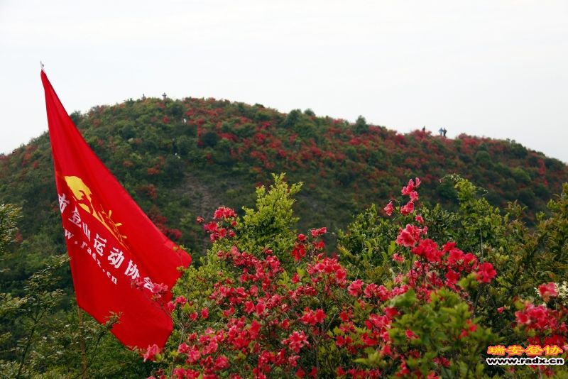 _MG_2351.JPG