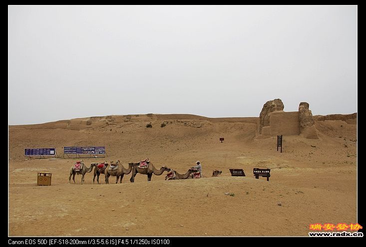 nEO_IMG_IMG_7032.jpg
