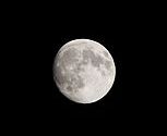 nEO_IMG_IMG_7172.jpg