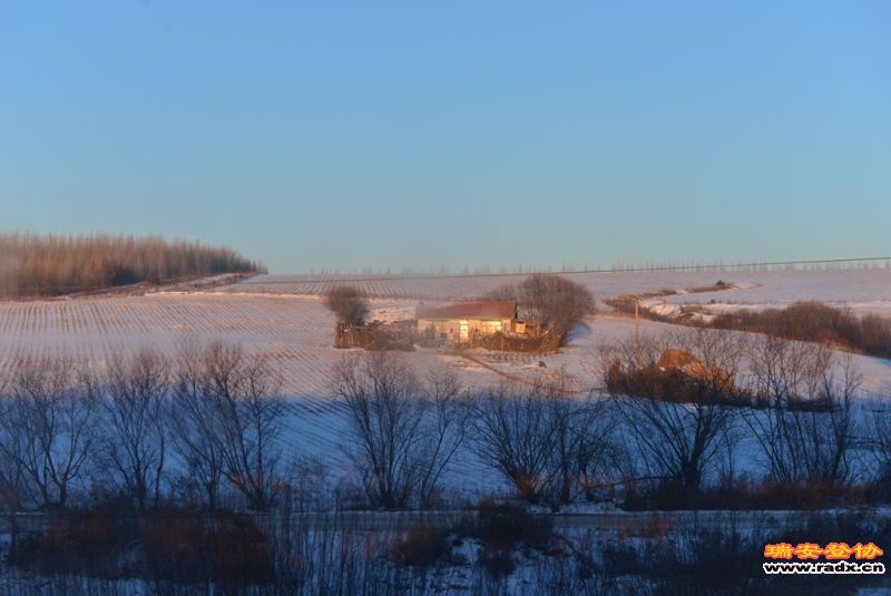 DSC_9315.jpg