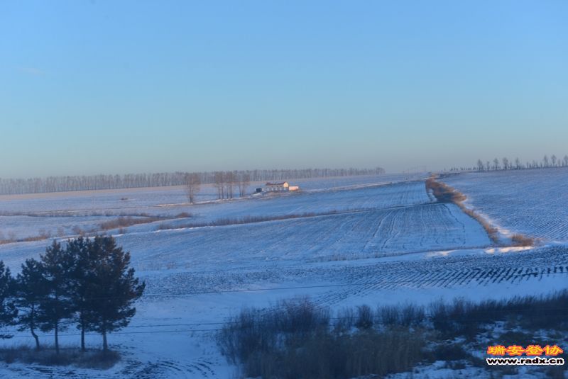 DSC_9327.jpg