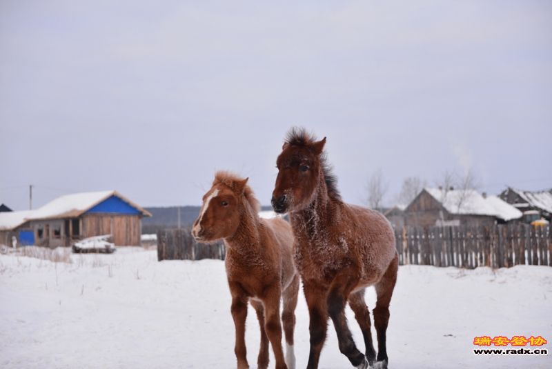 DSC_0132.jpg