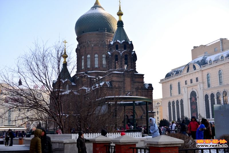 DSC_0690.jpg