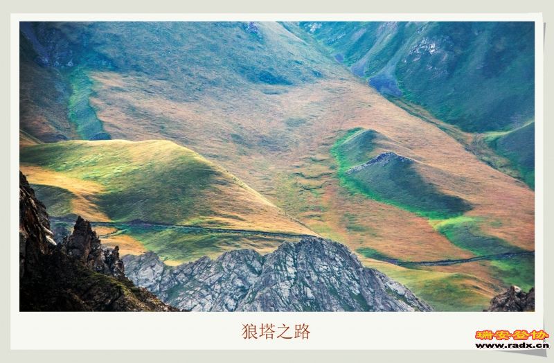 _MG_9772.JPG