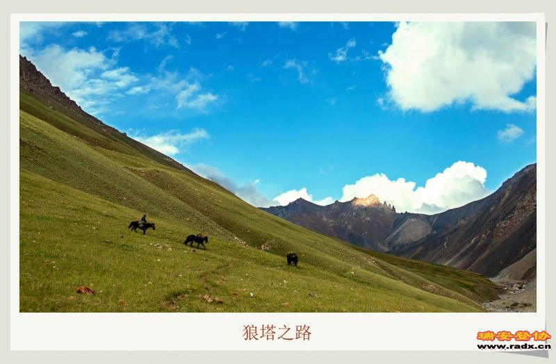 _MG_9775.JPG