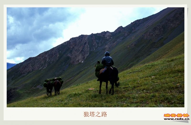 _MG_9784.JPG