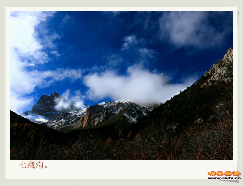 _MG_2327.JPG
