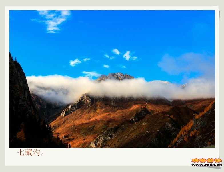 _MG_2683.JPG