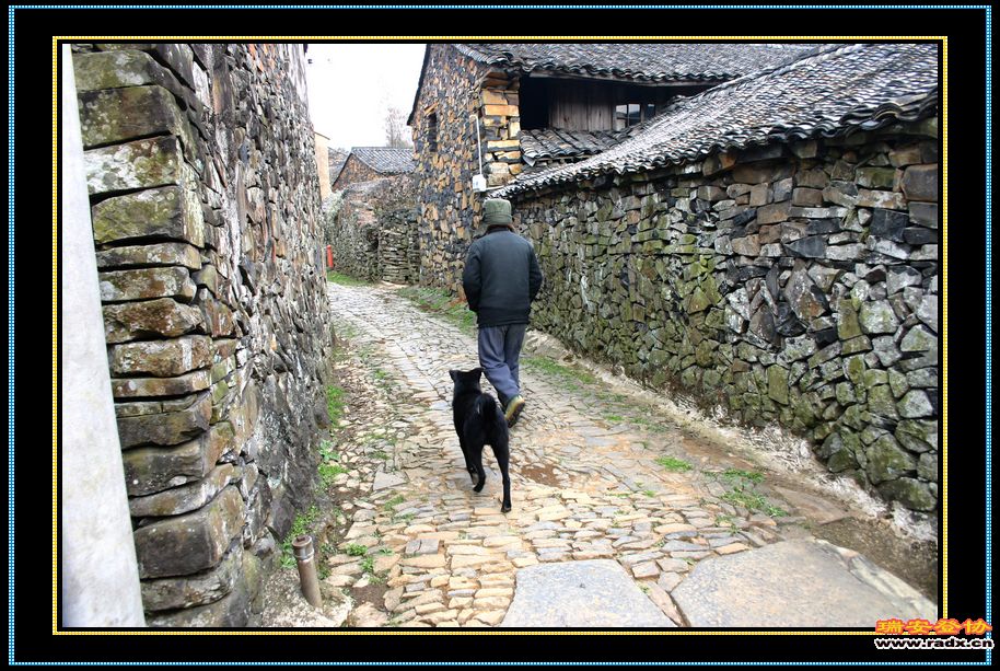 nEO_IMG_IMG_8958.jpg