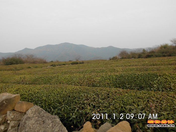 DSCI0230.JPG