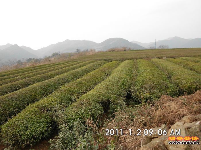 DSCI0229.JPG