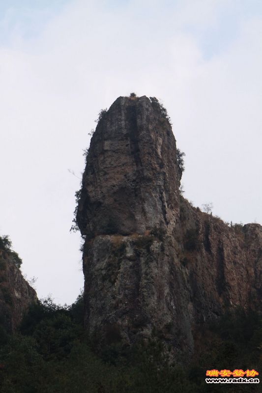 nEO_IMG_IMG_0250.jpg