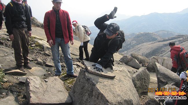 IMG_1375.jpg