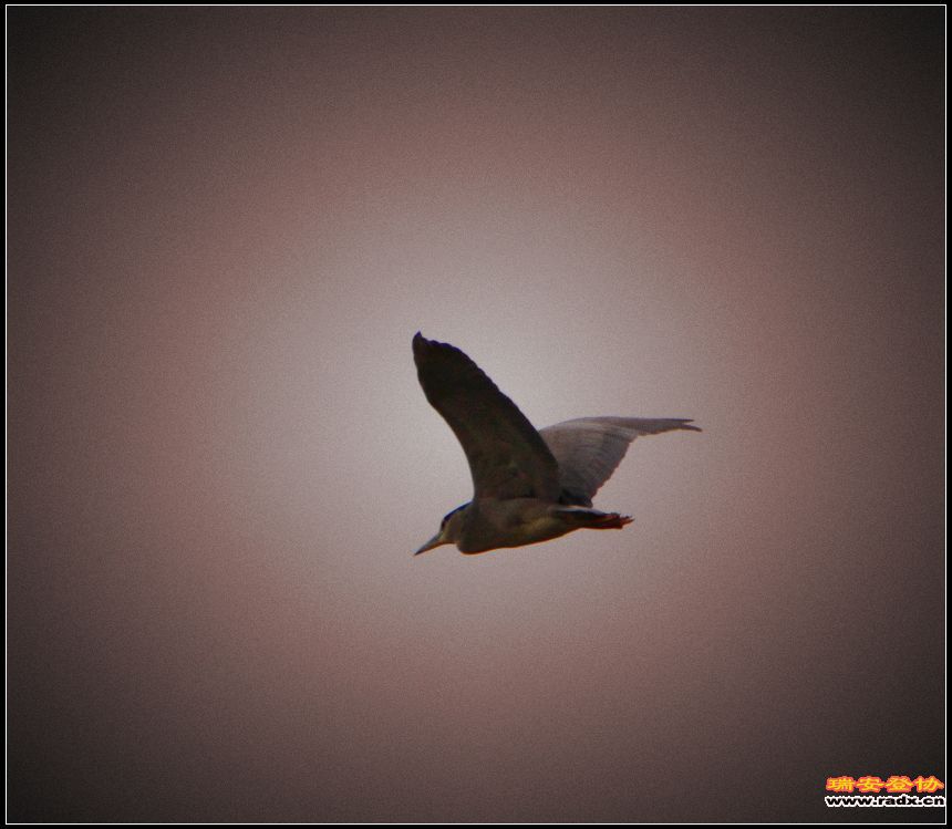 IMG_0162.JPG
