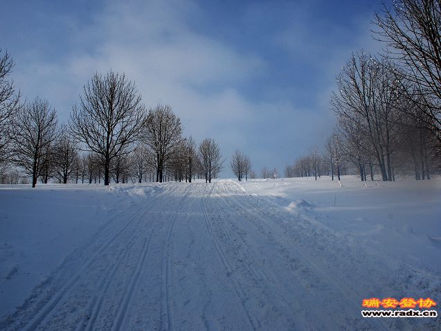 DSC_0654.jpg