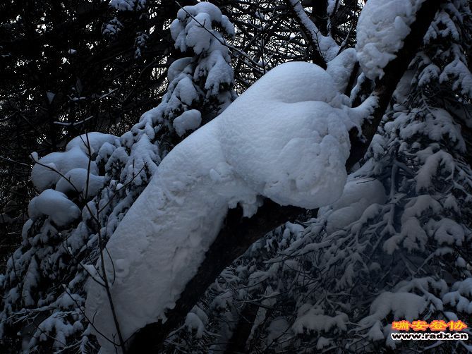 DSC_0657.jpg