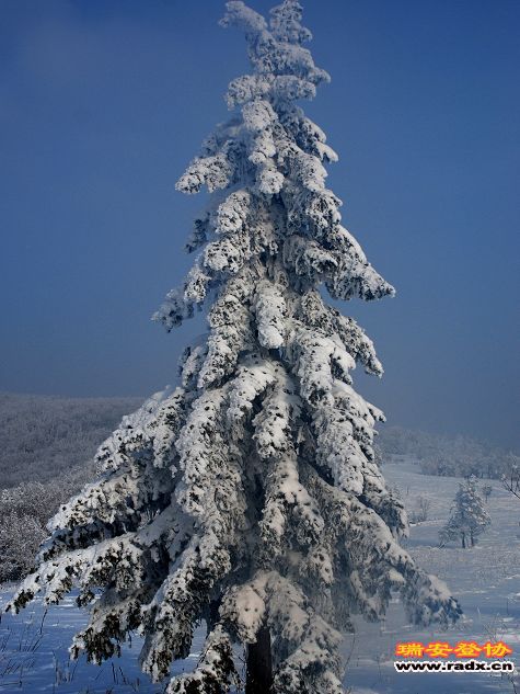 DSC_0636.jpg