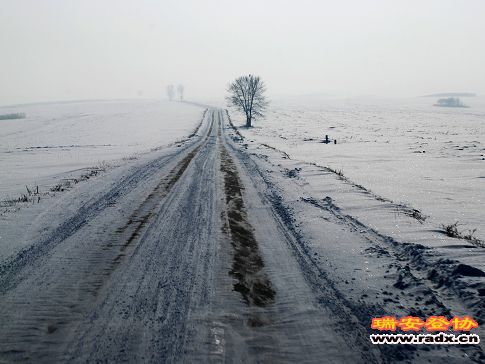 DSC_0915.jpg