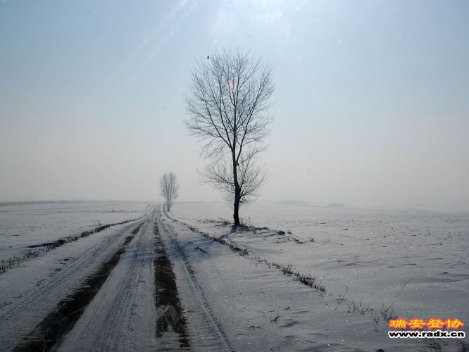 DSC_0919.jpg