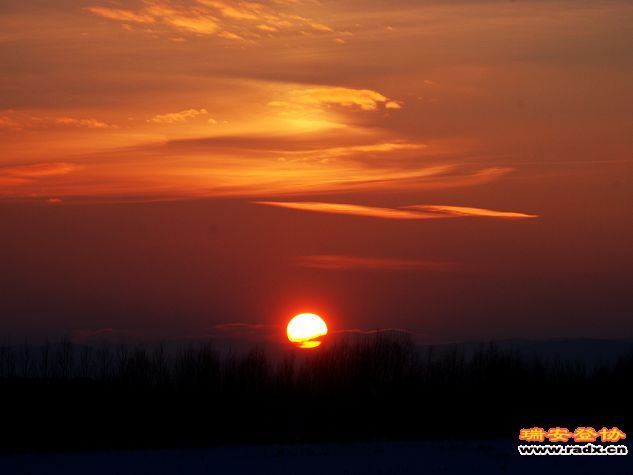 DSC_0069.jpg