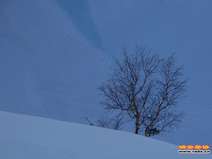 DSC_0338.jpg