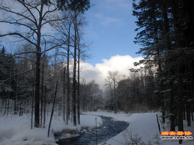 DSC_0405.jpg