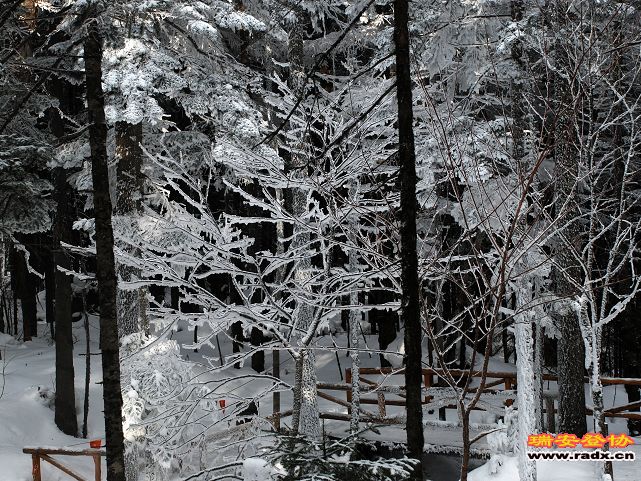 DSC_0440.jpg